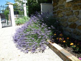 REF 01 studio BAGNEUX 5 minutes à pied métro BARBARA ligne 4 - 8