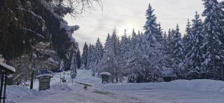 Gemütliches Apartment - Kanzelhöhe - Gerlitzen - 1