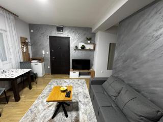 Apartment Amistad Novi Sad - Novi Sad - 8
