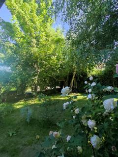 Luminoso monoambiente en Cerro Otto - 1