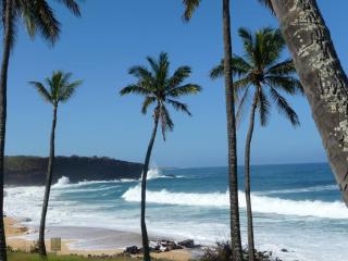 Molokai Kepuhi Beach Gem - - 9
