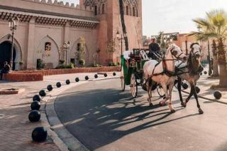 Event atlas vip - Marrakesh - 1