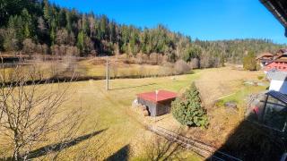 Ferienwohnung Schwarzwaldsegen mit Balkon - Todtmoos - 9