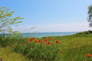 ruhige Lage nah am Meer, Terrasse und Garten - Ferienhaus Auszeit FeWo 01 - Alt Reddevitz - 6