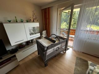 Ferienwohnung Schöne Aussicht - Todtmoos - 4