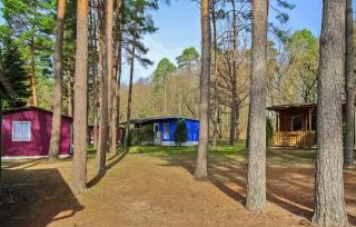 Fh Brombeere - Warenthin - 2