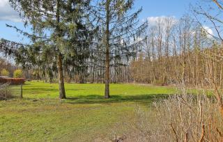 Fh Brombeere - Warenthin - 1