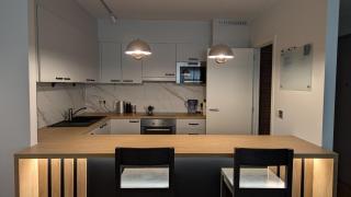 Spacious room in modern central apartment - Brussels - 1