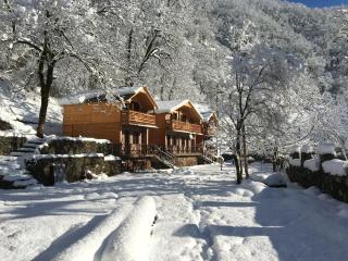 Cottages in mountains - K'veda Bzubzu - 7