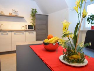 Apartment in Wehrstapel Sauerland with garden - Meschede - 7