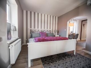 Apartment in Harz with Terrace and Fireplace - Stapelburg - 6