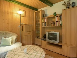 Harz Home with Outdoor Space - 1