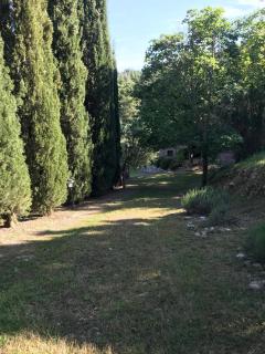 Podere il Giulianelli - Cetona - 8