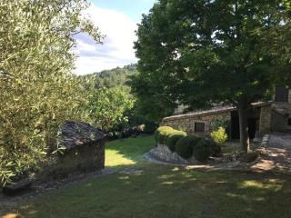 Podere il Giulianelli - 1