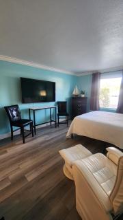 Beach, Boat, and shopping -- Studio Apartment - Sarasota - 9