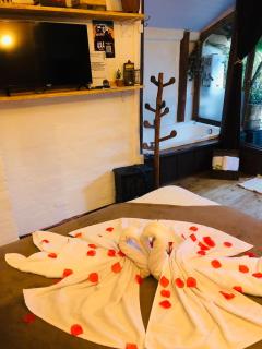 Chalé Tinyhouse Com hidromassagem - Campos do Jordão - 8