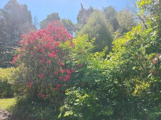 Cottage and geothermal pool by lake Taupo - Turangi - 3
