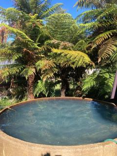 Cottage and geothermal pool by lake Taupo - Turangi - 0