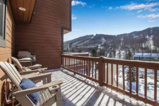 Modern Townhome with Decks Fireplace & Mountain Views - Ellicottville - 8