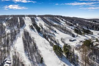Modern Townhome with Decks Fireplace & Mountain Views - Ellicottville - 6