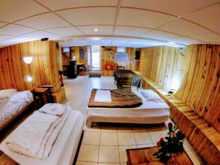 Studio le chalet Paris - Villeneuve-le-Roi - 5