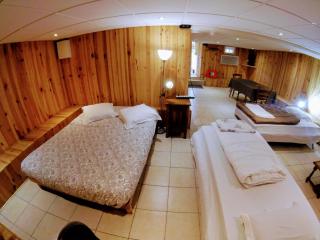 Studio le chalet Paris - Villeneuve-le-Roi - 3