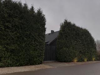 na świetego Urbana netflix canalplus hbo - - 0