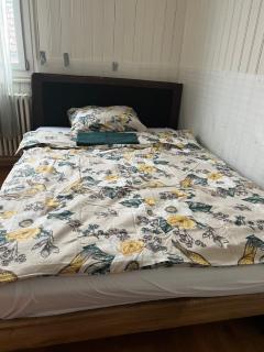 Motel Schwanen - Schlattingen - 9