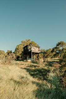 Ashley's Treehouse At El Mistico Ranch - Nogal - 2