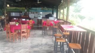 Bar & Restaurante, Brisas del Mar - Puerto Jiménez - 3