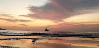 Jardin del Mar La Serena - Coquimbo - 6
