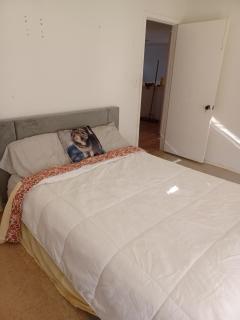 Cosi Room Near Austin - 4