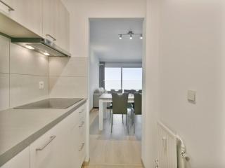 Flat in Blankenberge with Stunning Sea Views - 1