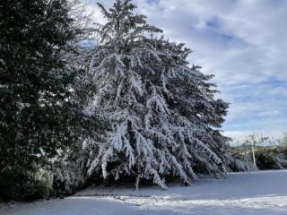 Vivez le Charme du Château avec WiFi à Bellavilliers - FR-1-497-102 - 7