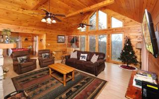 Snuggly Bear Cabin - Gatlinburg - 7