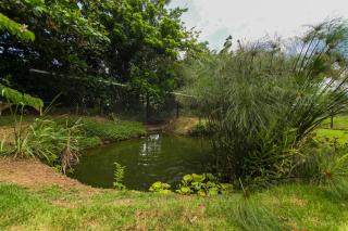 BlueEcolandia Bungalow AGUA - Jarabacoa - 9