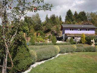 Gîte calme avec jardin zen, piscine et randonnée au Parc des Vosges - FR-1-589-763 - Cornimont - 7