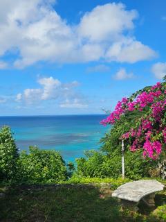 Montego Bay Club Apartments - 8
