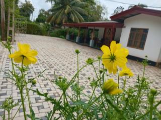 Sun Ceylon Homestay - Sigiriya - 6