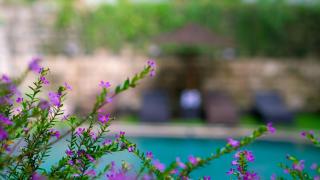 Karang Lila Bhuana Ubud - 5