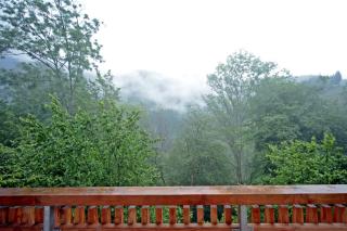 living TIMELESS- Haldenmühle, Luxus Schwarzwald-Retreat mit Sauna für bis zu 12 Personen - Simonswald - 8