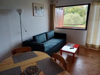 Loue appartement saisonnière Xonrupt Longemer 4 personnes - Xonrupt-Longemer - 1