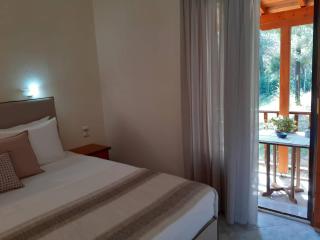 Double room with forest view - Troulos - 5