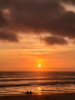 Kashinath Beach Huts - 9