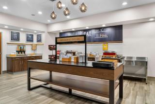 Hampton Inn Detroit/Auburn Hills-North - 4