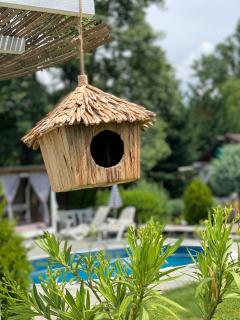 CHALET Orsova - Orşova - 4