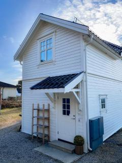 Sentralt og nyoppusset - Skien - 1