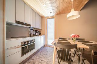 Aavalevi Frost Chalet, Ski-In Ski-Out With Mountain View - Levi - 7