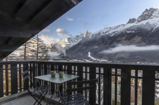 Appt Laltimetre - Jardin - Skis aux pieds - Chamonix - 2
