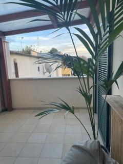 Little House Green Relax - Civitavecchia - 6